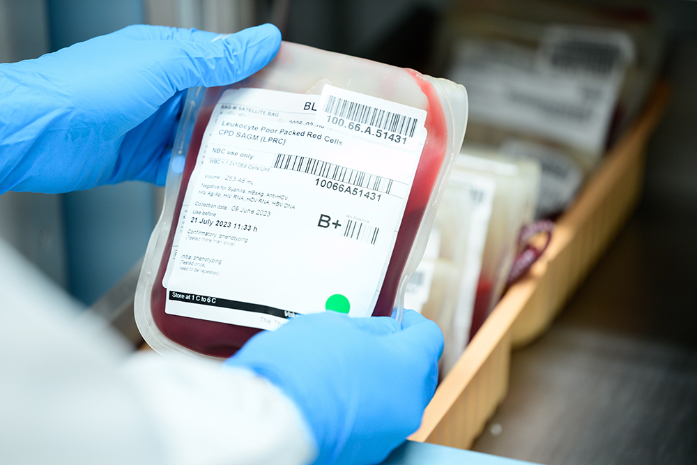 Mãos com luvas seguram uma bolsa de sangue tipo B positivo, retirada de uma gaveta em um freezer.