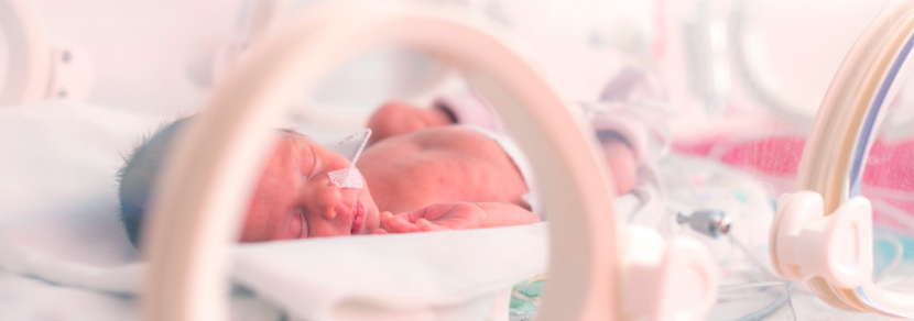 Bebê recém nascido em incubadora neonatal